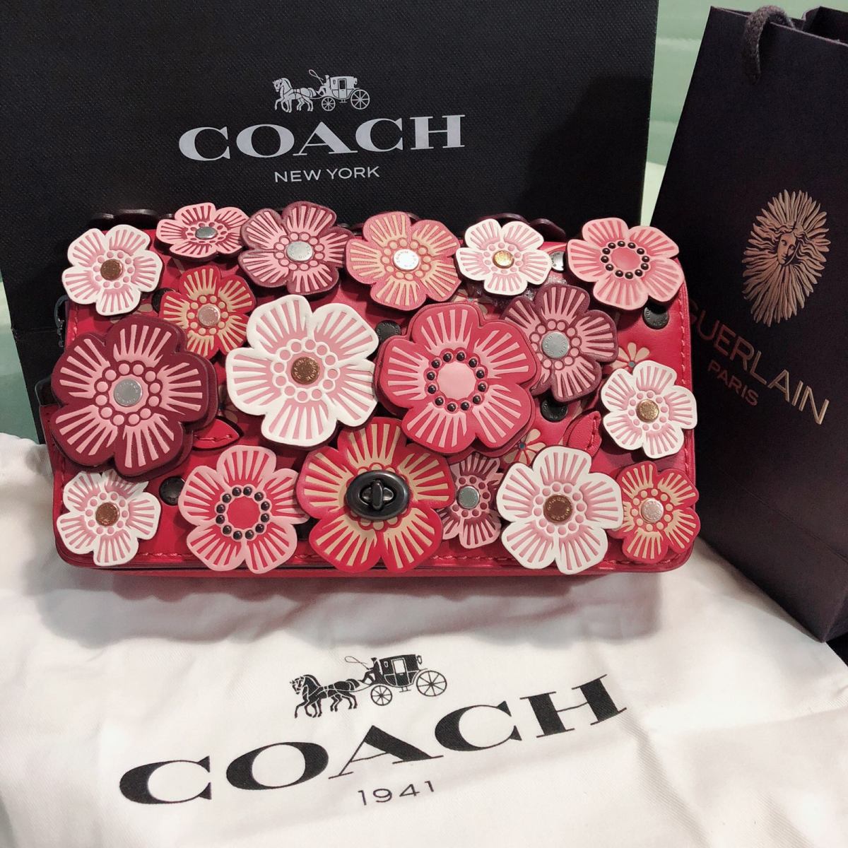 21天打卡挑战_Day_17💥Coach dinky 19