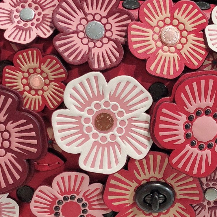 21天打卡挑战_Day_17💥Coach dinky 19