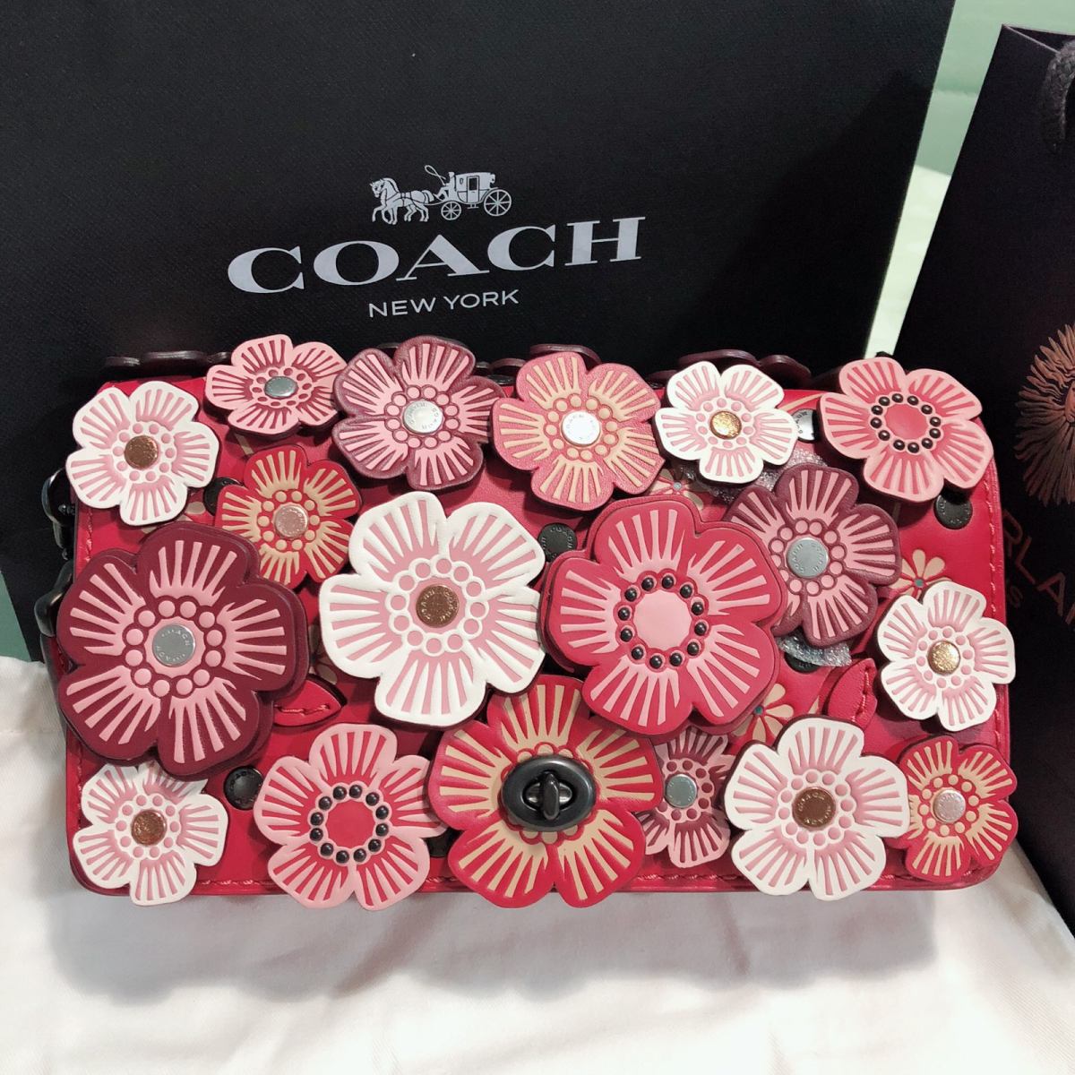 21天打卡挑战_Day_17💥Coach dinky 19