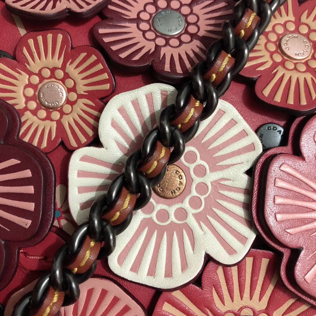 21天打卡挑战_Day_17💥Coach dinky 19