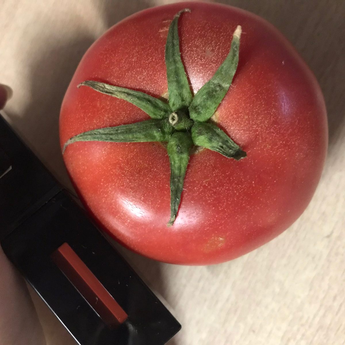 🥰第一支YSL唇釉🌚  😆之前看朋友用Ysl的圆管，我