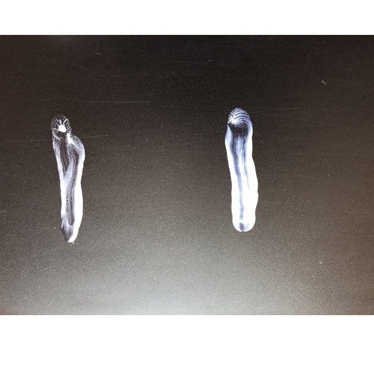 我在用的高倍and日常雅漾 清爽倍护便携乳 人送绰号：小金刚