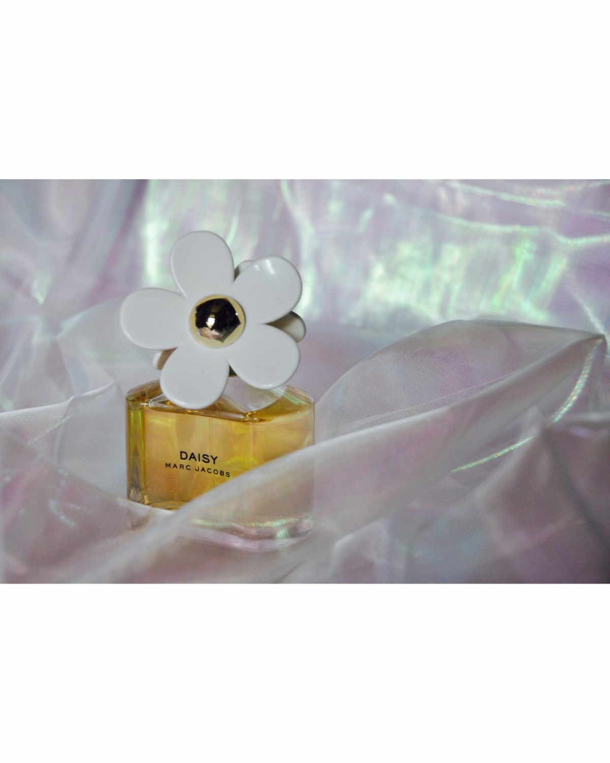 夏日清新花香调78marc jacobs小雏菊这是我有的香水里被夸过最多的