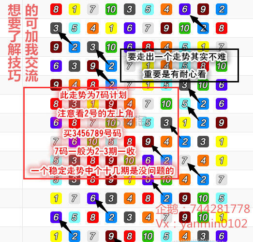 56码走势及最新研发78码滚雪球技巧