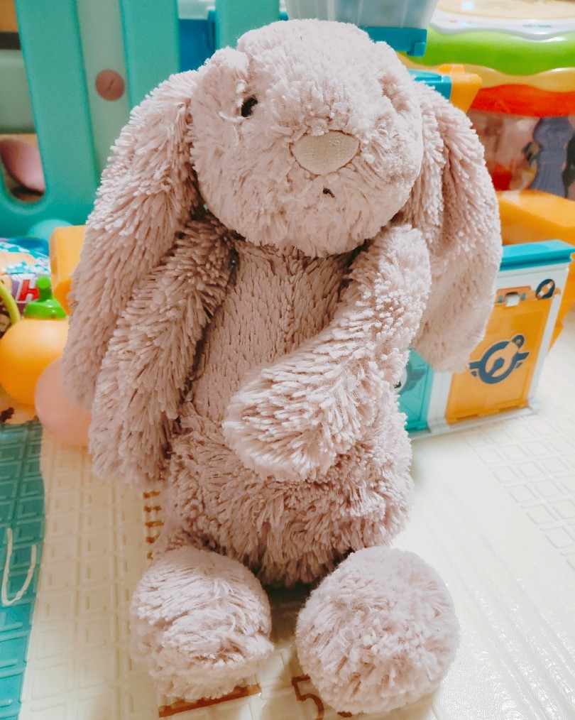 打卡挑战之Day6  女儿最爱的jellycat🐱  🐱