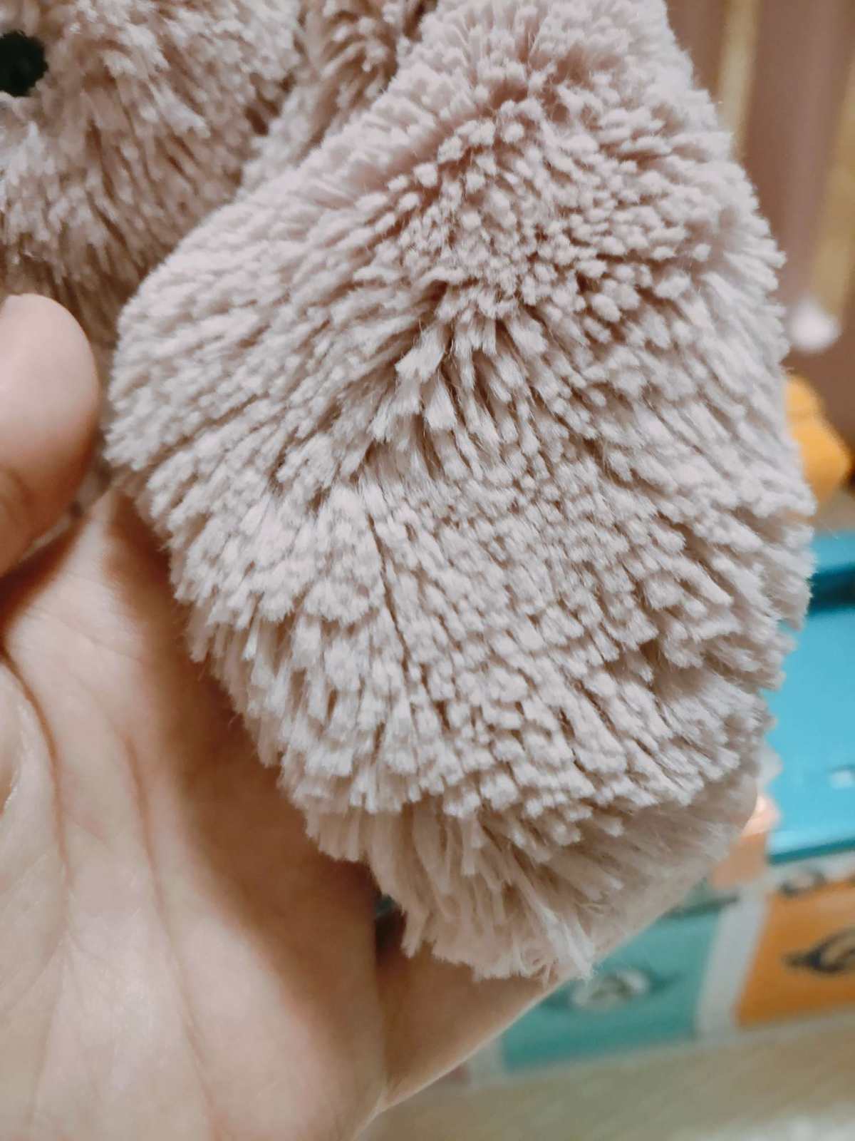 打卡挑战之Day6  女儿最爱的jellycat🐱  🐱