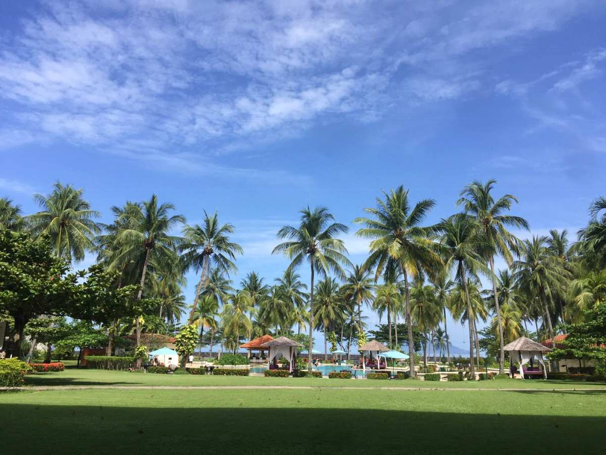 日常怀念#美娜多#的幸福时光