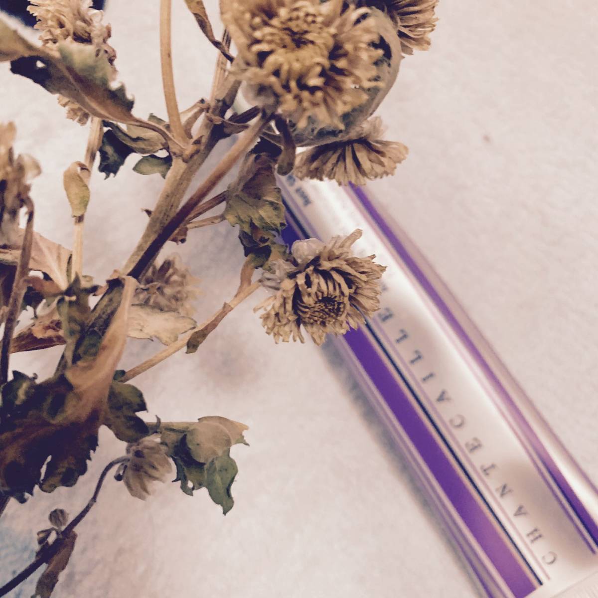 为香缇卡隔离正名 最爱用的隔离莫过于CPB长管和香缇卡了，真