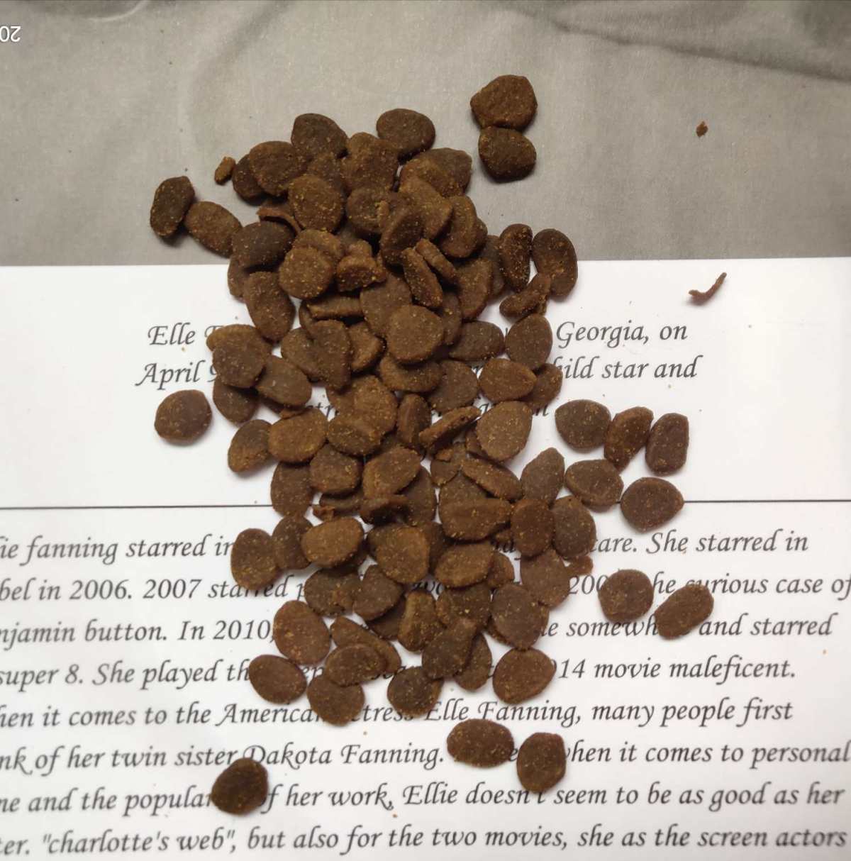 渴望无谷鸡肉猫粮🐱🐱🐱  猫干粮大部分分为谷粮和无谷粮