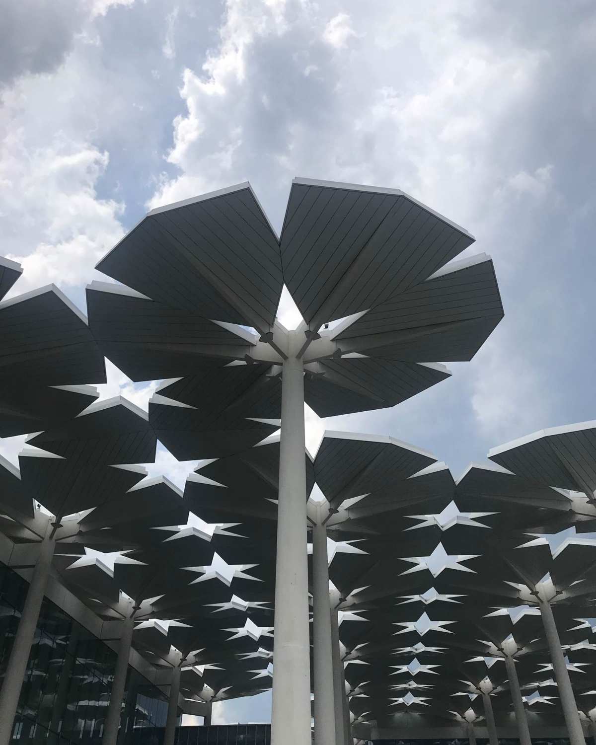 北京世博园开园已经两个月了，而我却还没去过，这怎么可以！虽说
