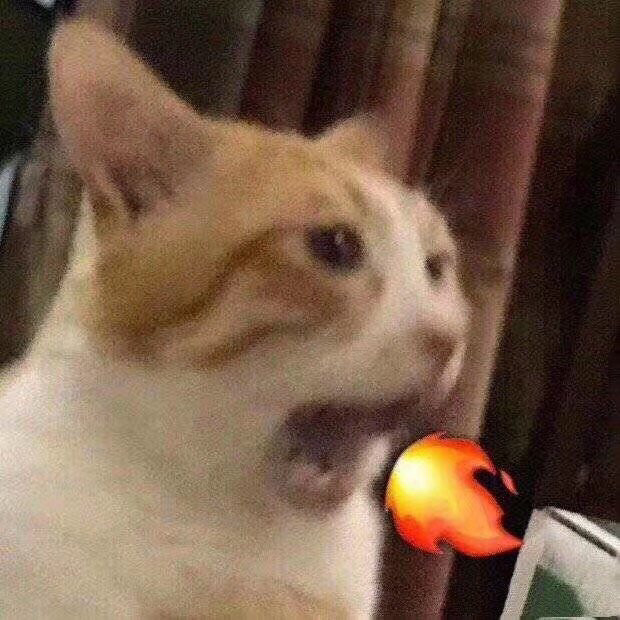 夏季神器💙CLA共轨亚油酸胶囊💊 7🈷️打卡 day2