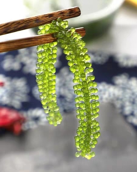 海葡萄 海葡萄是长茎葡萄蕨藻 一种可食用藻类 营养价值高 在