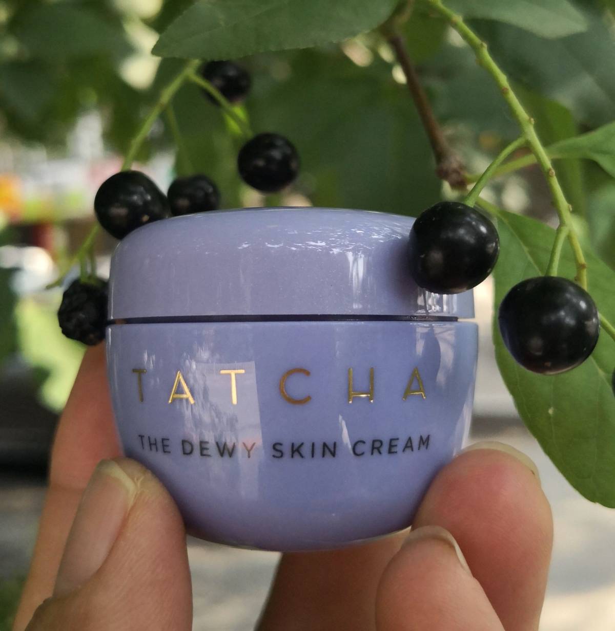 Tatcha美国官网买产品，赠送了一个小小的丰盈补水保湿面霜