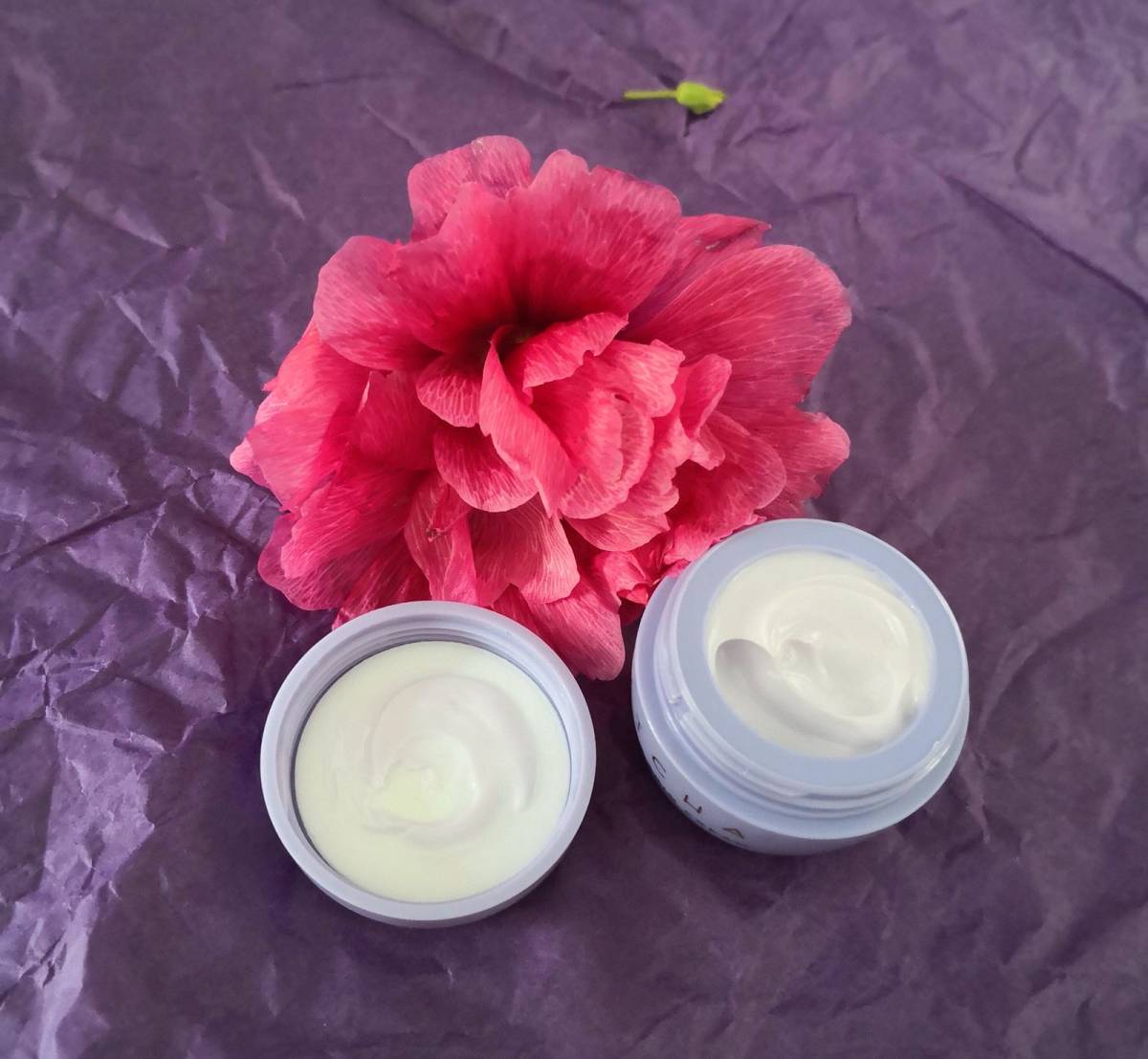 Tatcha美国官网买产品，赠送了一个小小的丰盈补水保湿面霜