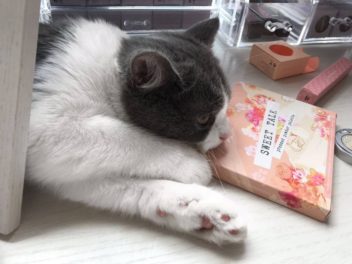 7月打卡挑战# colourpop夏天最A的眼影盘sweet