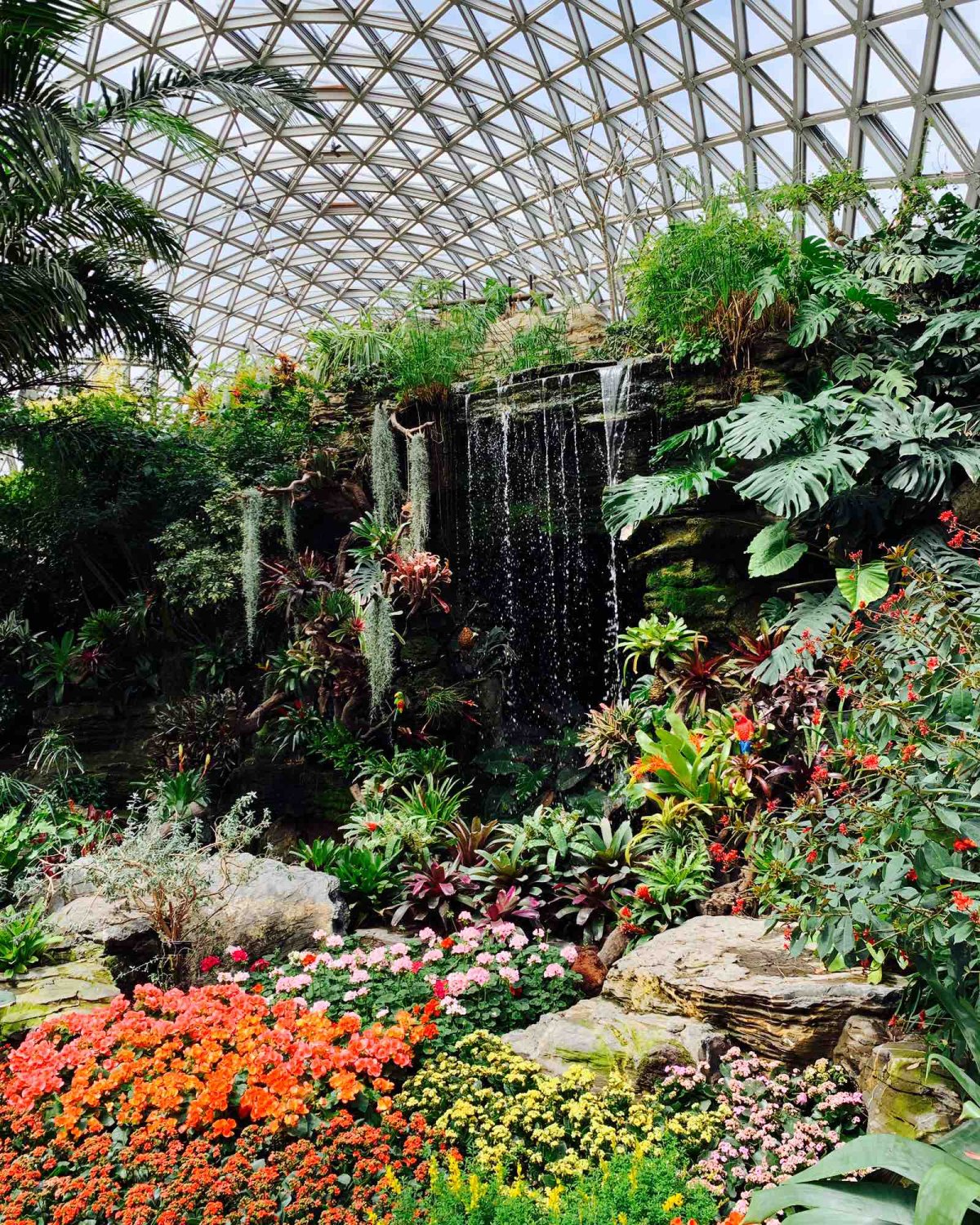 带着宝贝逛辰山植物园 门票可以在淘宝上买，比在现场买便宜不少