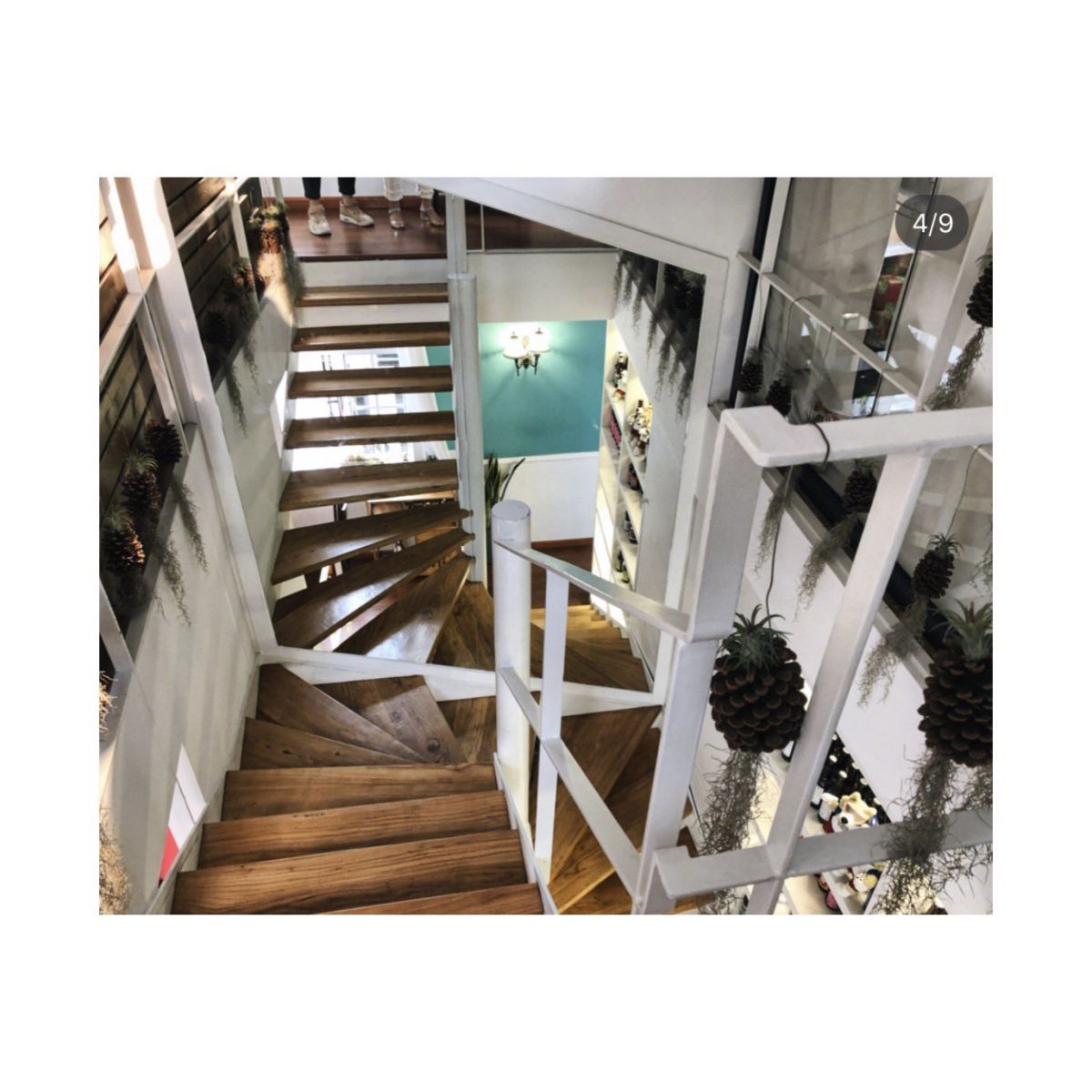 Hugohusky上海下午茶探店-通过考核：👍 ❤️今天终