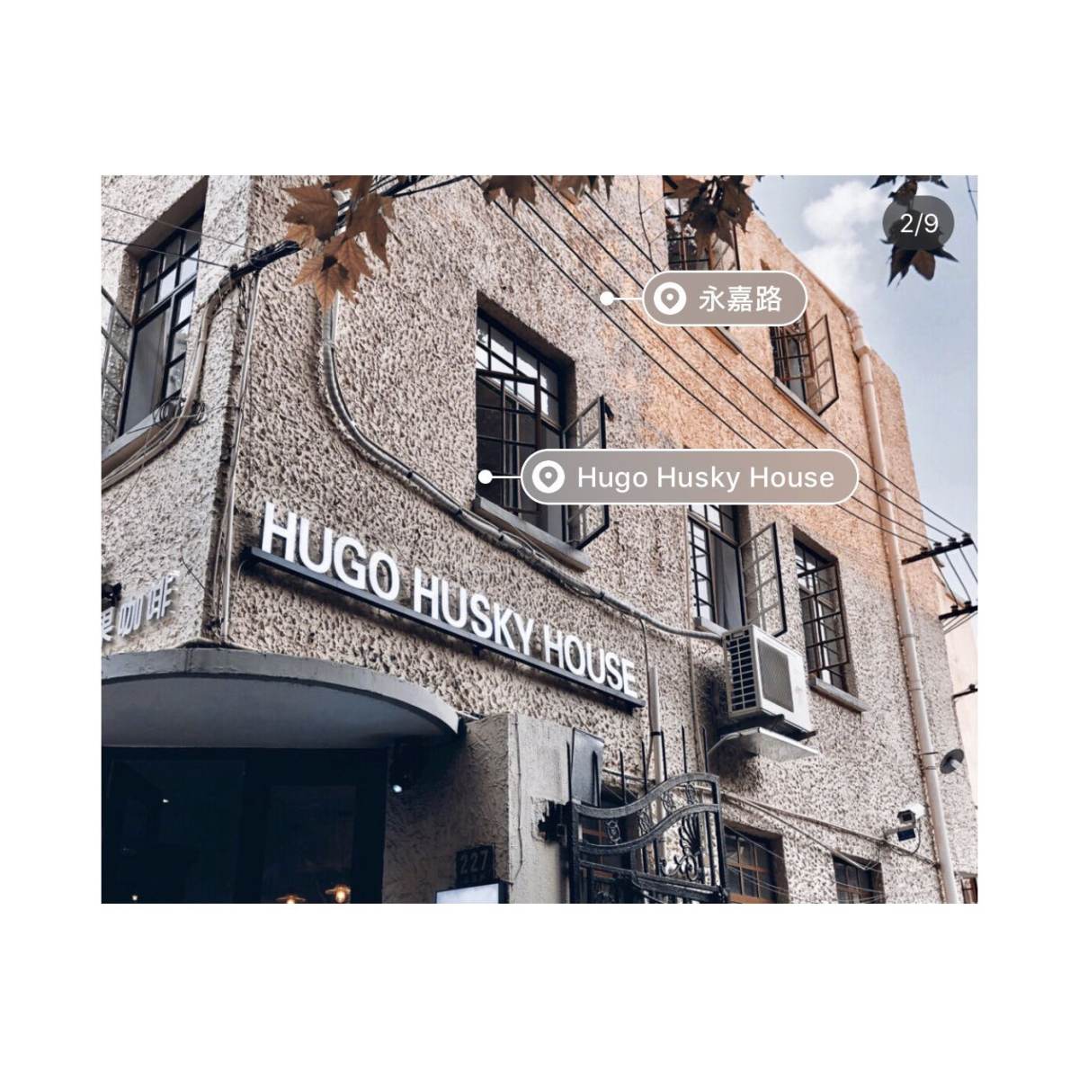 Hugohusky上海下午茶探店-通过考核：👍 ❤️今天终