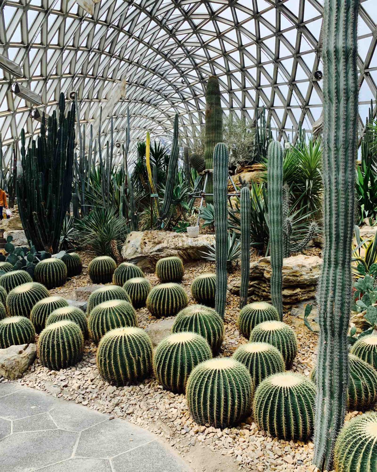 带着宝贝逛辰山植物园 门票可以在淘宝上买，比在现场买便宜不少