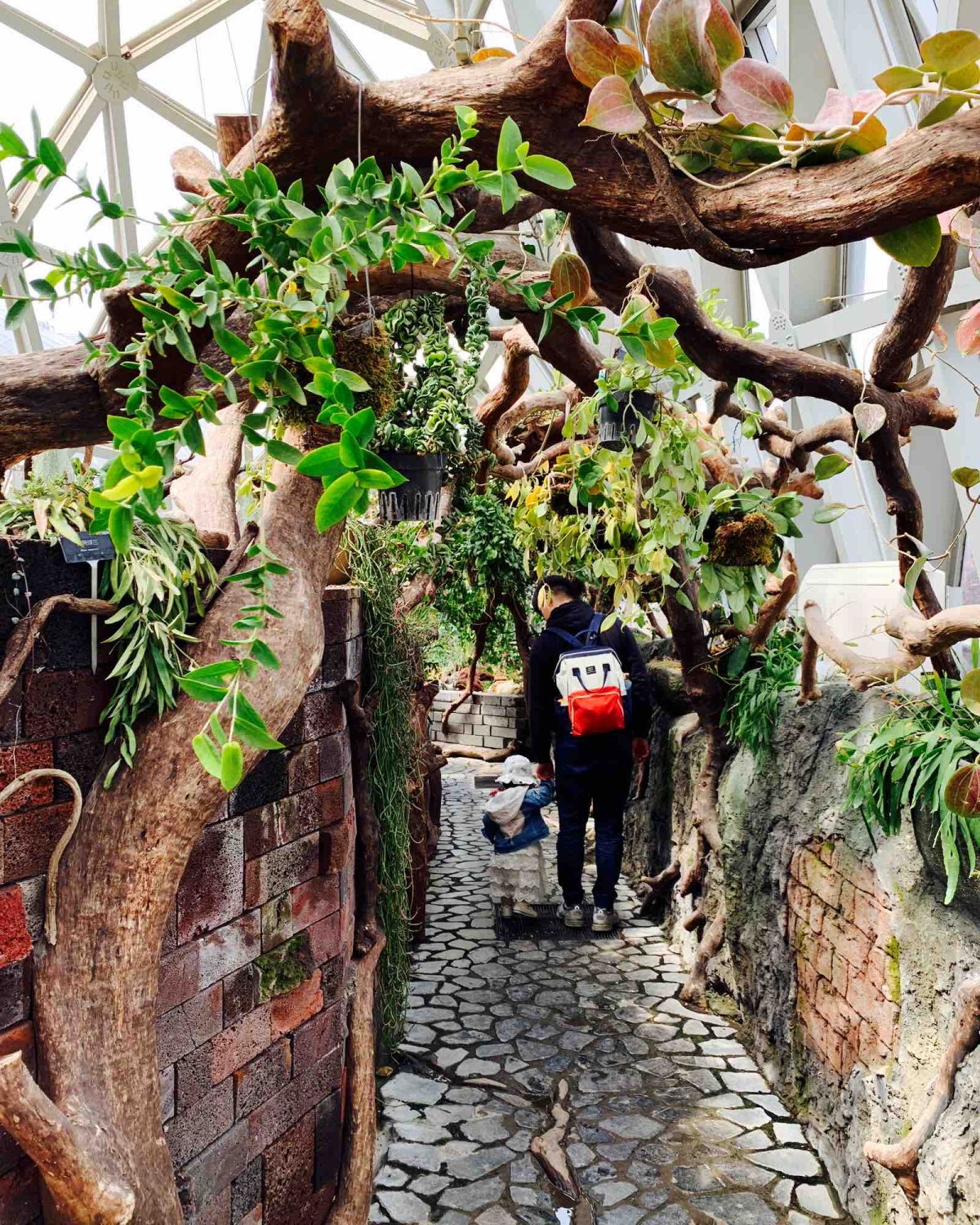 带着宝贝逛辰山植物园 门票可以在淘宝上买，比在现场买便宜不少