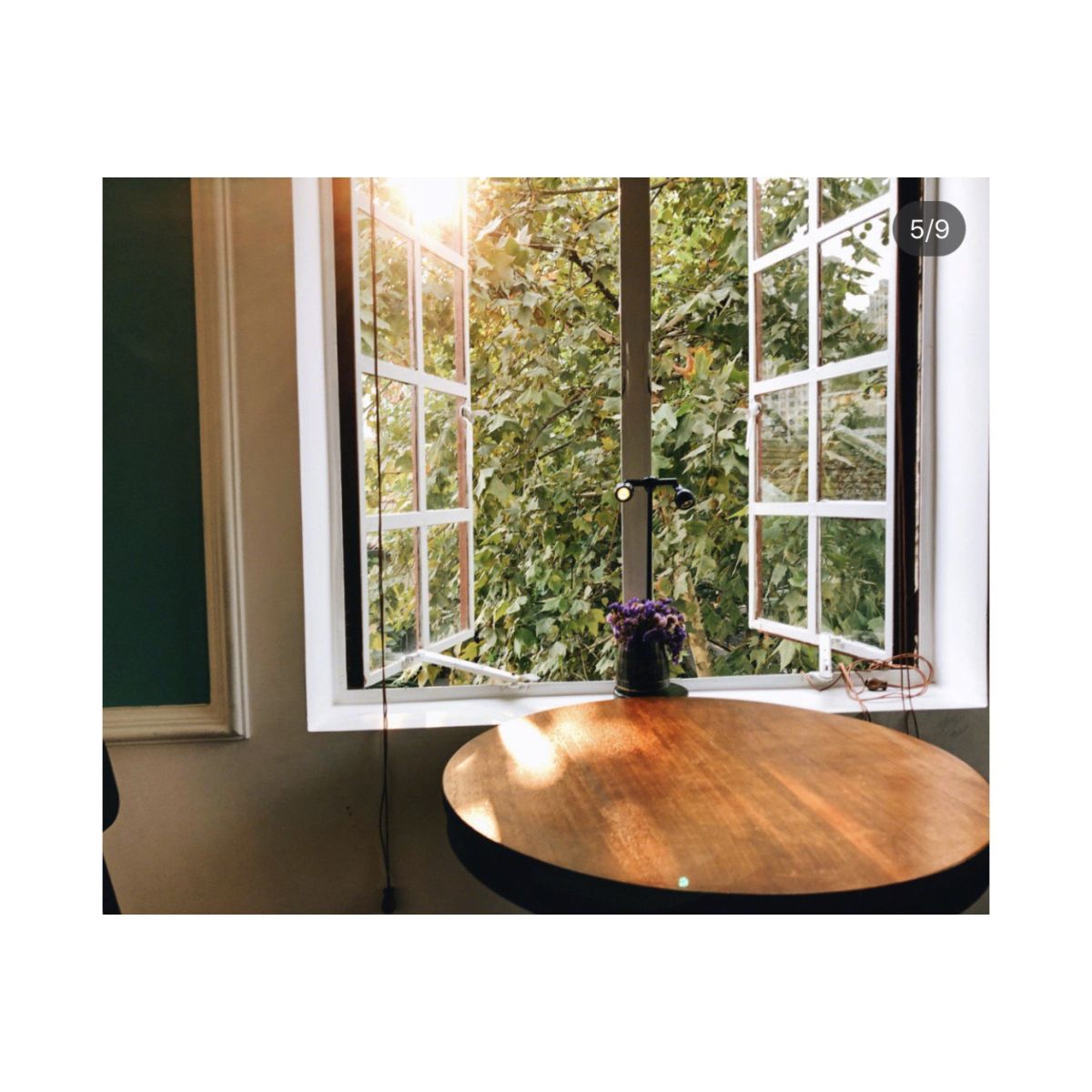 Hugohusky上海下午茶探店-通过考核：👍 ❤️今天终