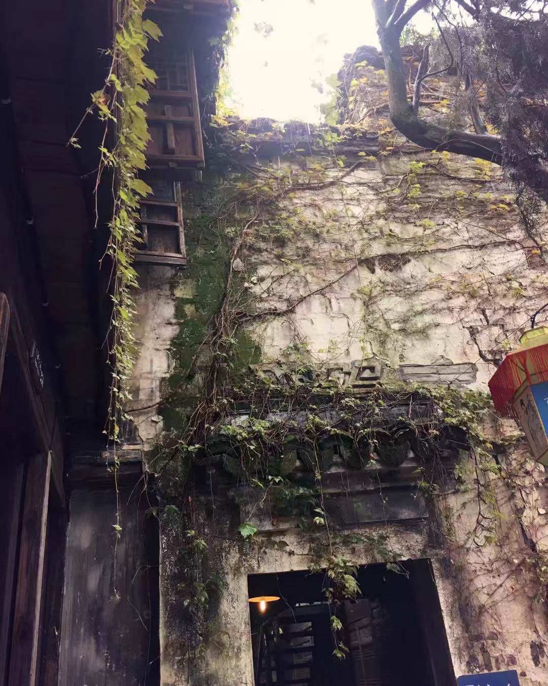 🌟嘉兴乌镇🌟  因为温言，对乌镇心心念念了许久，真的是典