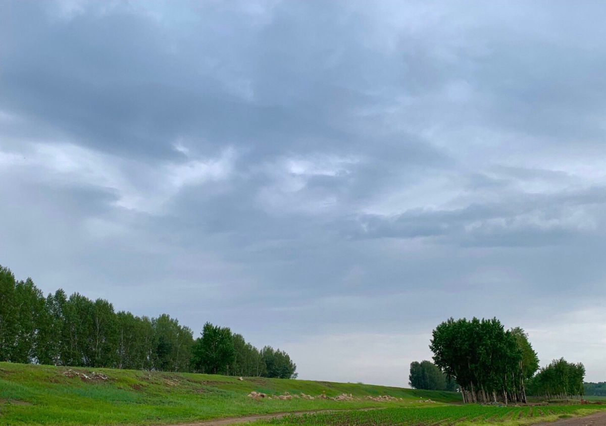 八月晒单也疯狂之🎈松花江湿地 🍇夏天就很喜欢去草原去湿地