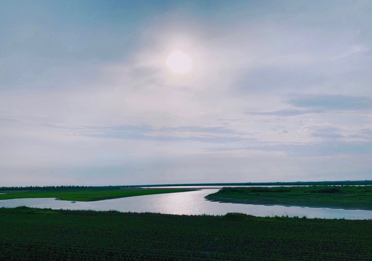 八月晒单也疯狂之🎈松花江湿地 🍇夏天就很喜欢去草原去湿地