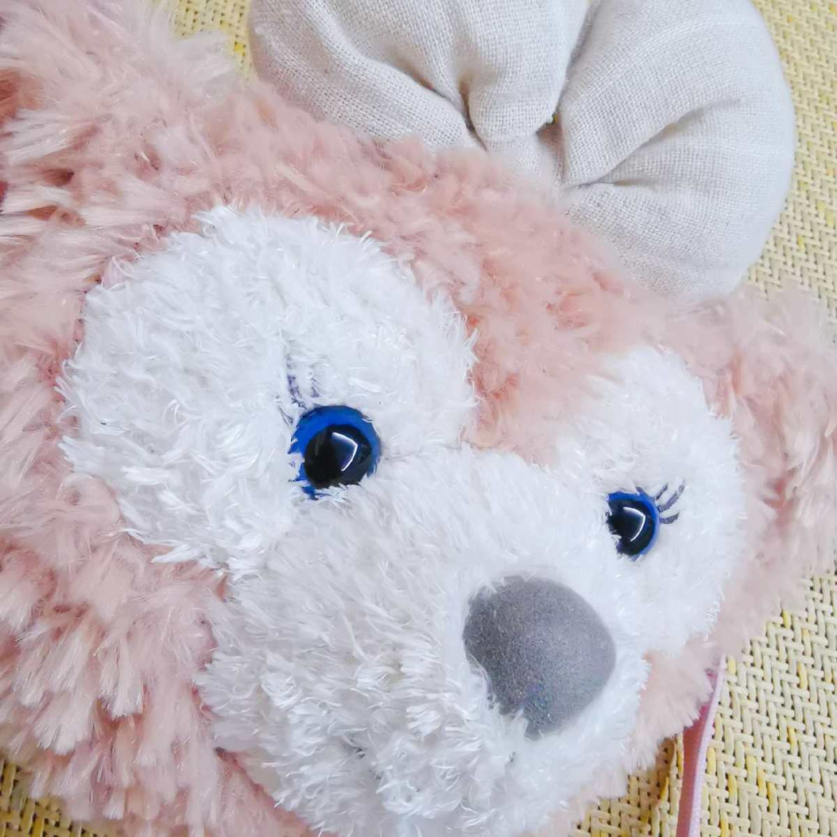 今天晒两只可爱的包包。都是出去游玩的收获！ 一只是shell