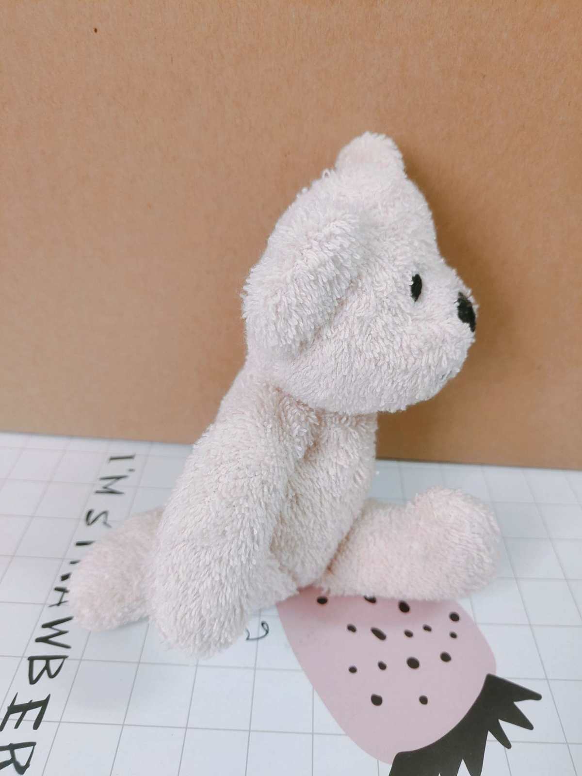 今天来介绍一只小熊，一只风骚的小熊熊，哈哈哈  😜这个是8