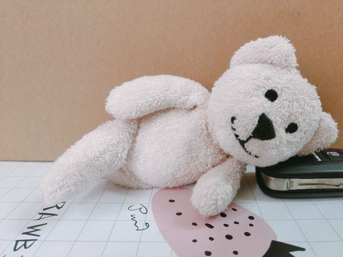 今天来介绍一只小熊，一只风骚的小熊熊，哈哈哈  😜这个是8