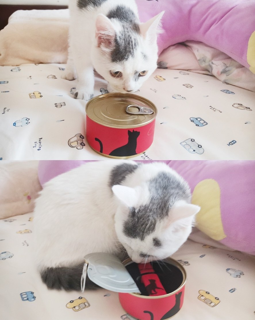 妙巴黎天鹅绒唇釉04蜜桃橘红  第一次见把口红做成猫罐头的样