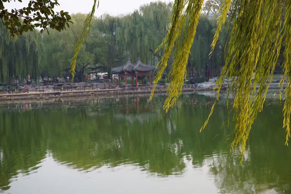 #最美秋景# 秋天的颜色 秋天是什么颜色，赤橙黄绿青蓝紫-暮
