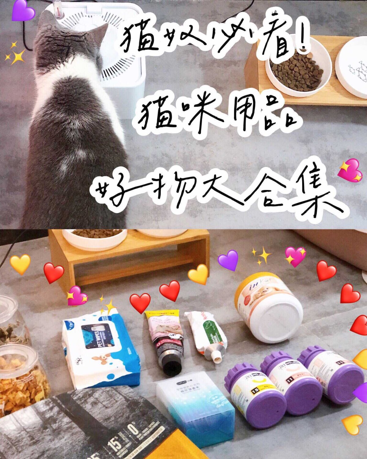 猫主子必备日常用品合集🐈人不如猫系列🐾🐾 作为一位老母