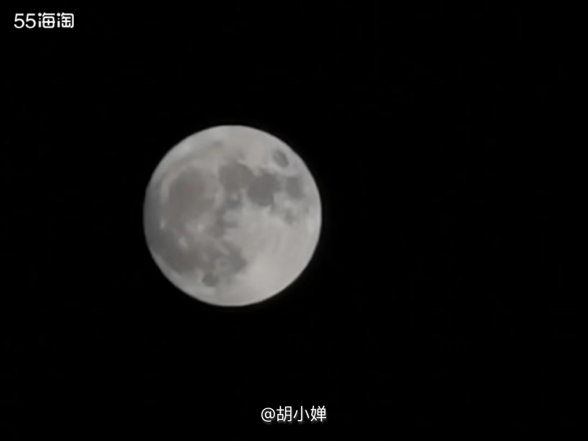 🌕但愿人长久，千里共婵娟🌕  我的名字里就带着一个“婵”