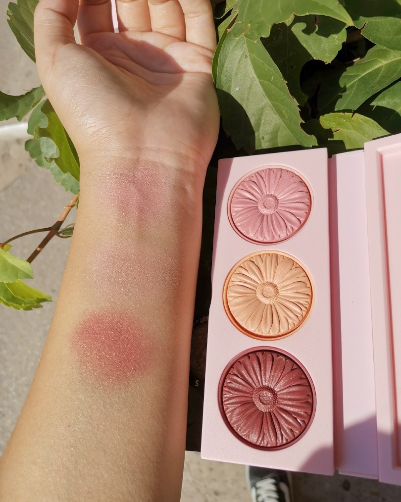 新品首发！倩碧2019秋冬小雏菊腮红限量套装 暖色  刚刚看