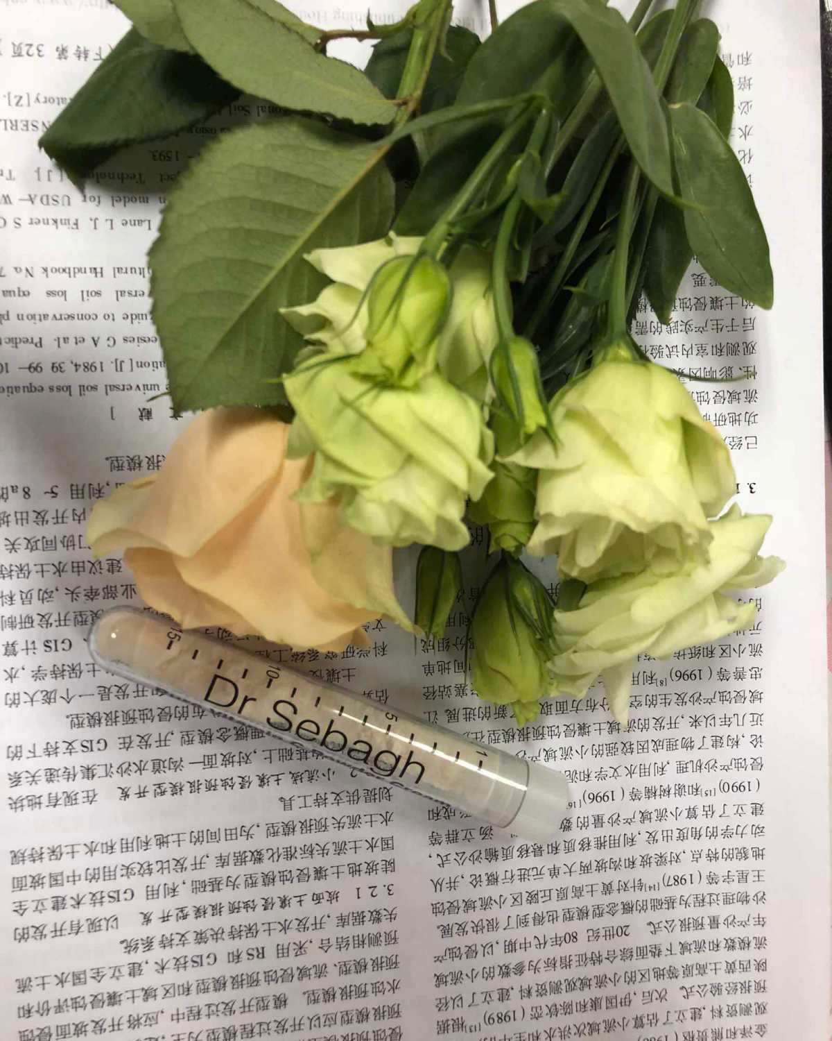 赛贝格vc粉 👉👉👉👉👉👉👉 用过好几支了，只