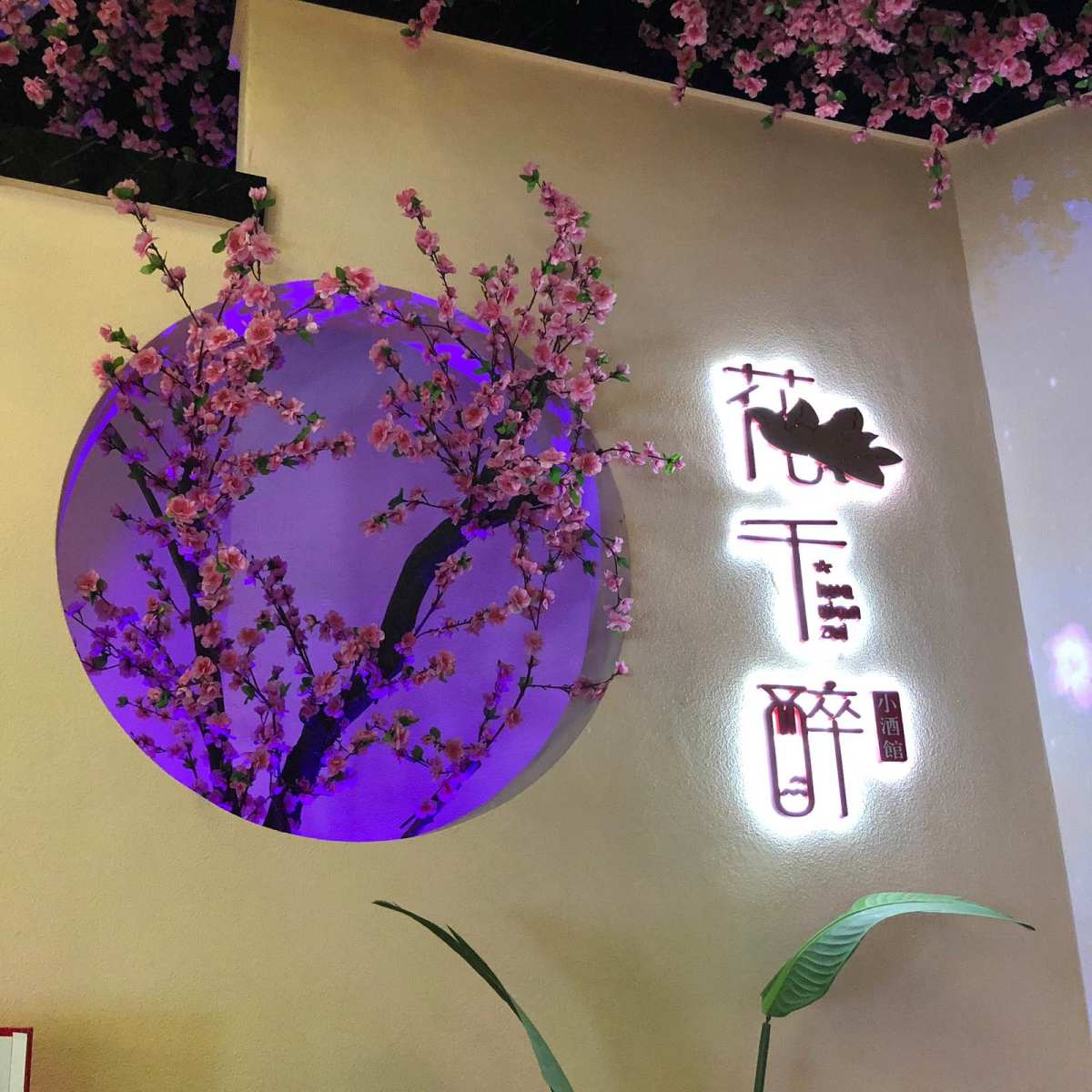色不迷人人自迷，酒不醉人人自醉。 说到花千醉，这个店名既浪漫