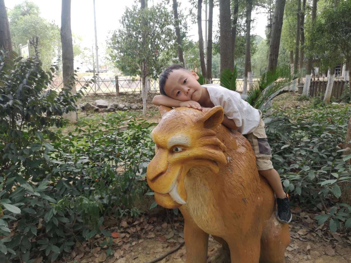 十一短途游 今天来吧啦吧啦一下十一出行的心得 我们去了武汉周