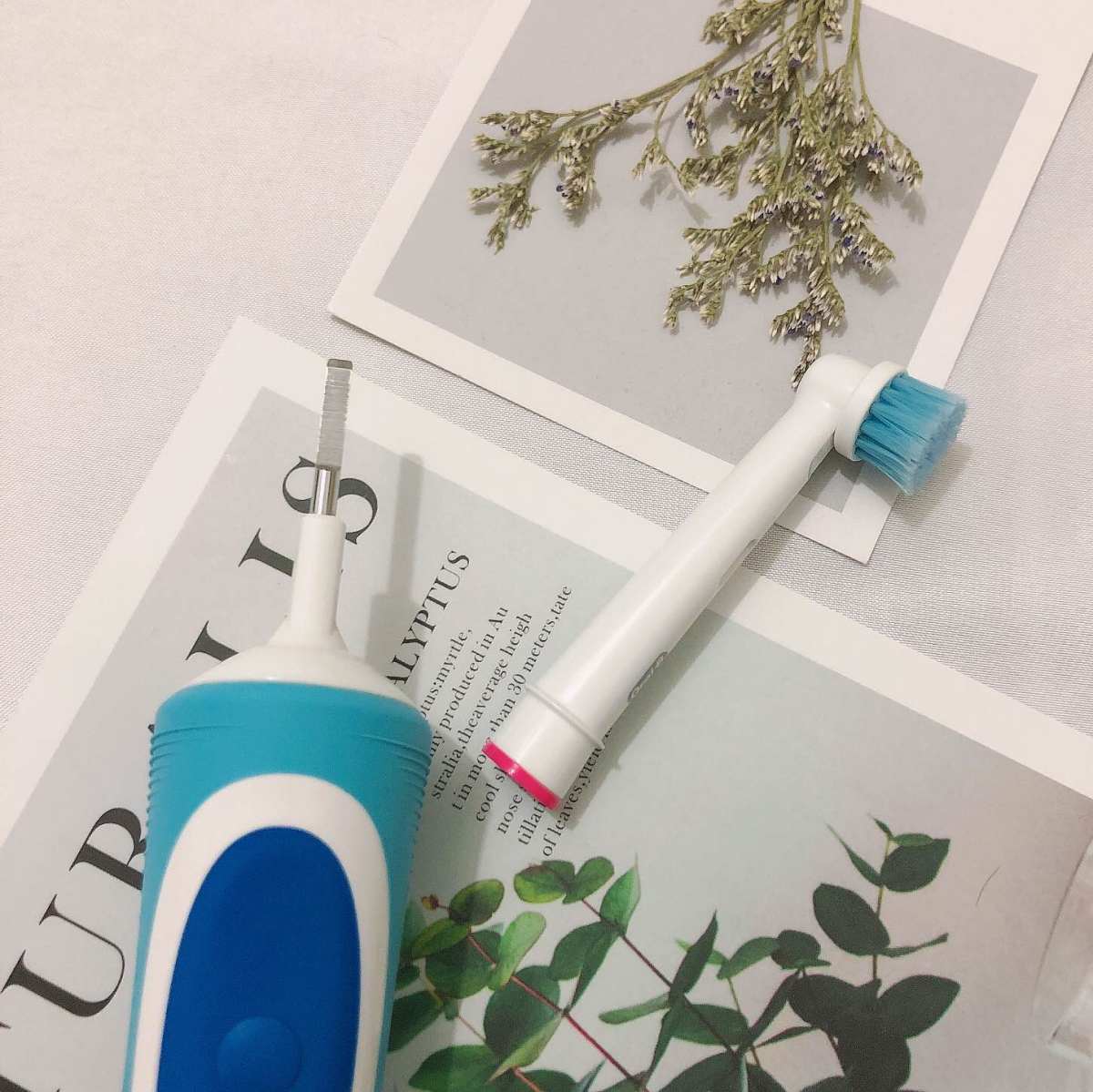 我的中国银行Visa信用卡省钱计划🔺NO.41：Oral-