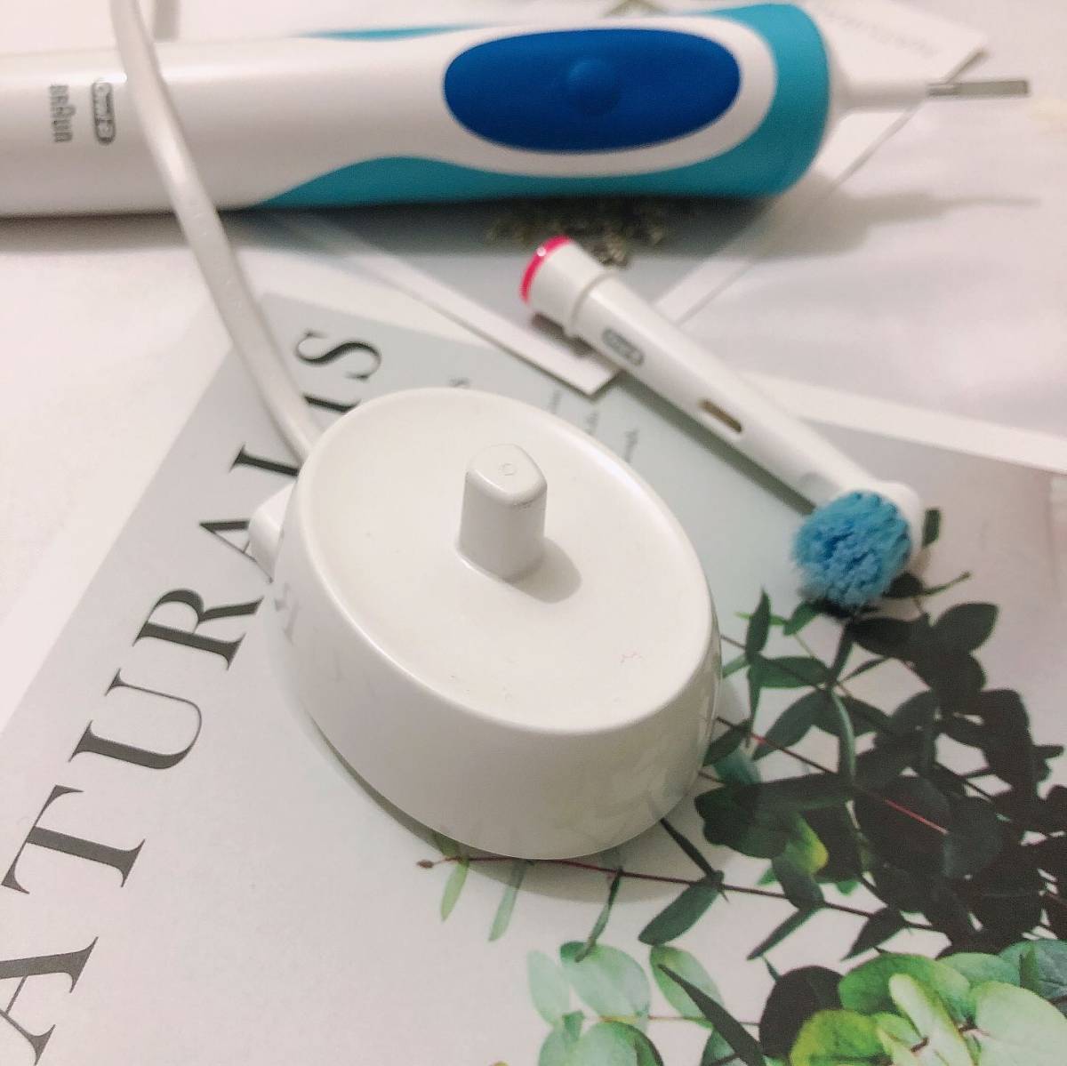 我的中国银行Visa信用卡省钱计划🔺NO.41：Oral-
