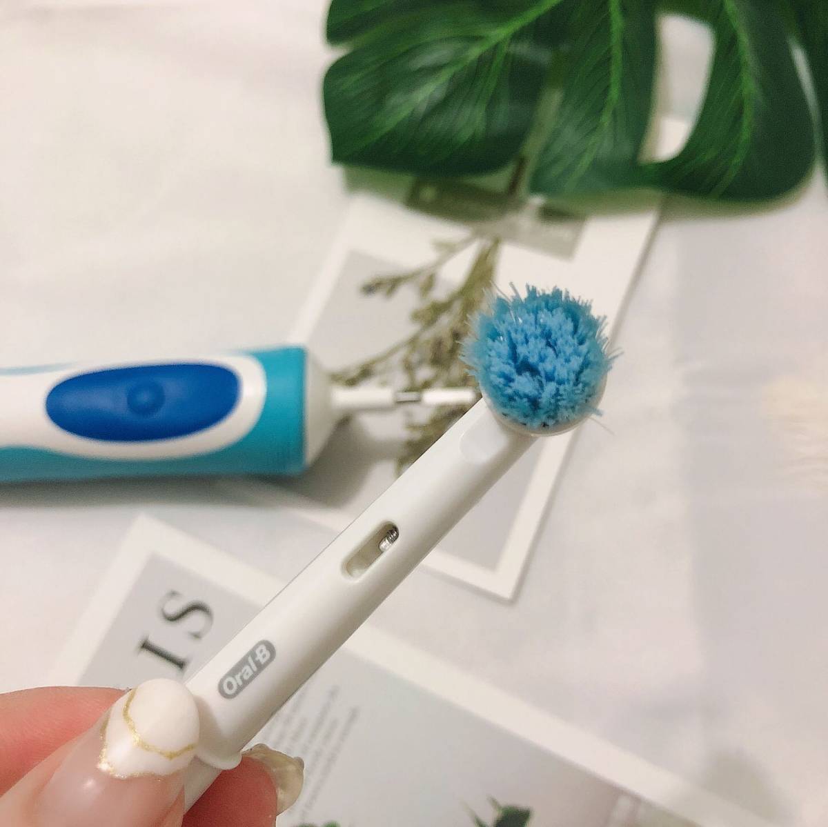 我的中国银行Visa信用卡省钱计划🔺NO.41：Oral-