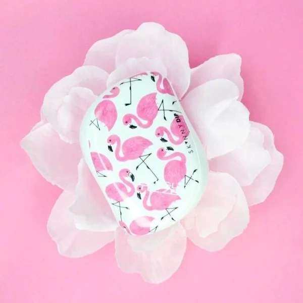 我的中国银行Visa信用卡省钱计划17 TT梳/凯特王妃梳 