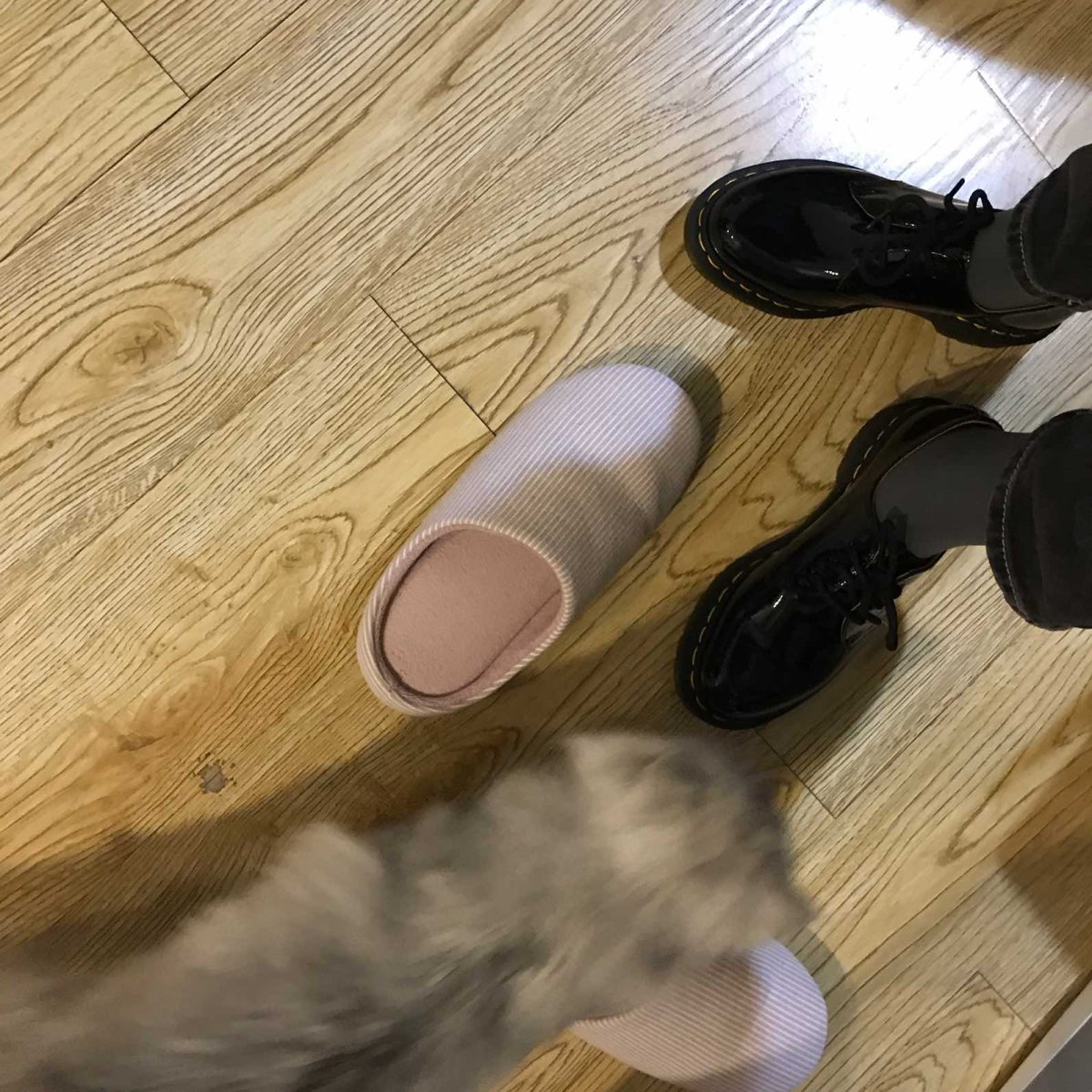 Dr.martens 1461光面款 顺利收货 黑五海淘了四