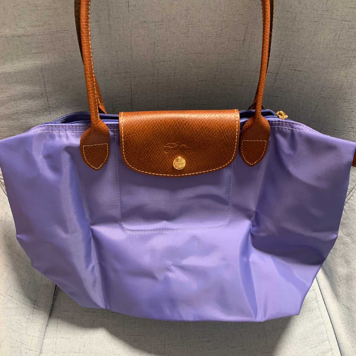 #今天我背这个包#longchamp包 🍇因为之前的龙骧包