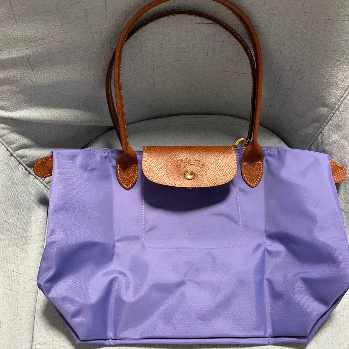 #今天我背这个包#longchamp包 🍇因为之前的龙骧包
