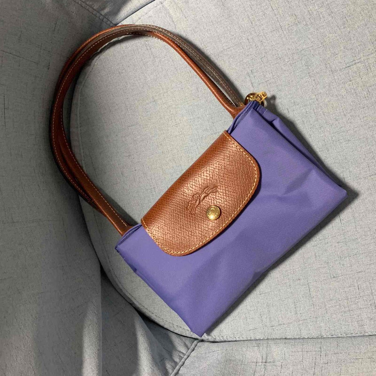 #今天我背这个包#longchamp包 🍇因为之前的龙骧包