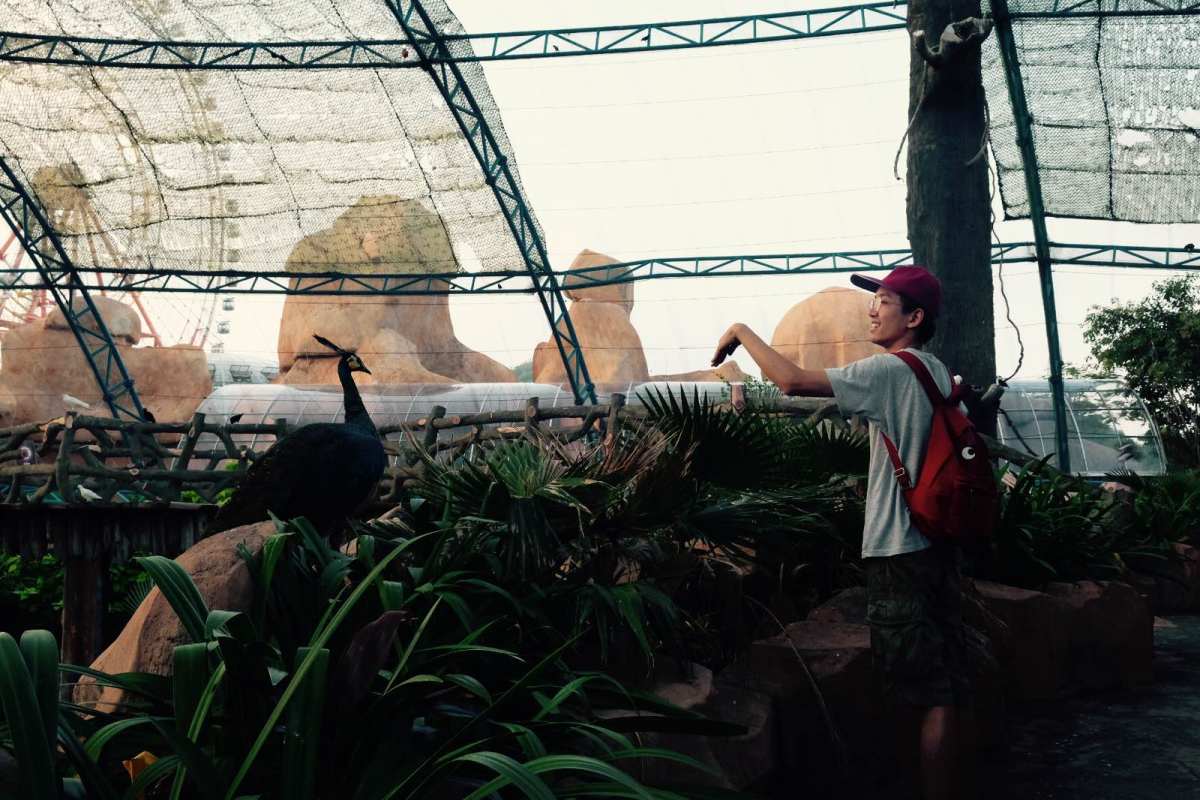 Anya大眼睛双肩包🎒  晒了这么多自己的包包，再来晒个老