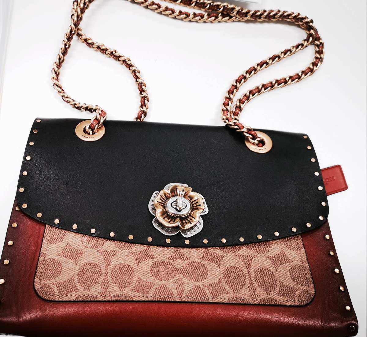 哇哇哇～快来看看新鲜到手的coach山茶花，是从姐姐一个相熟