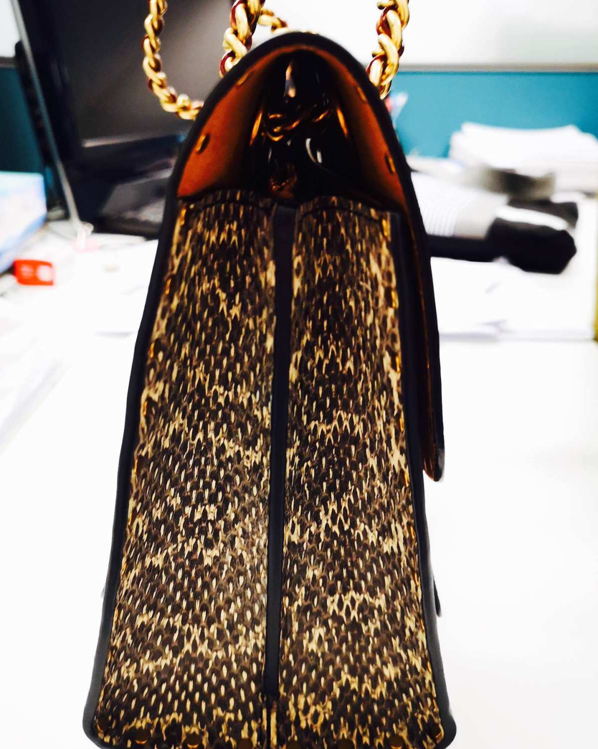 哇哇哇～快来看看新鲜到手的coach山茶花，是从姐姐一个相熟